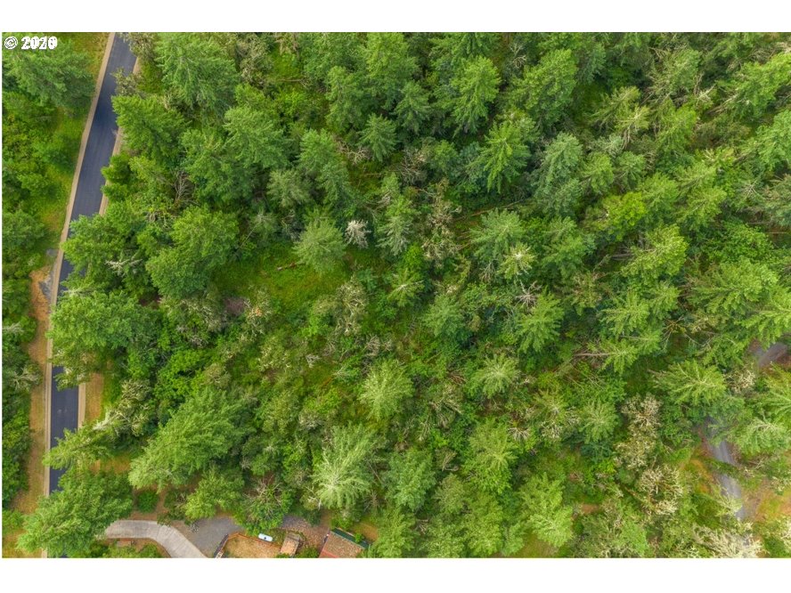 Bearridge Road, Unit 2 Creswell, OR 97426 - Photo 5 of 9