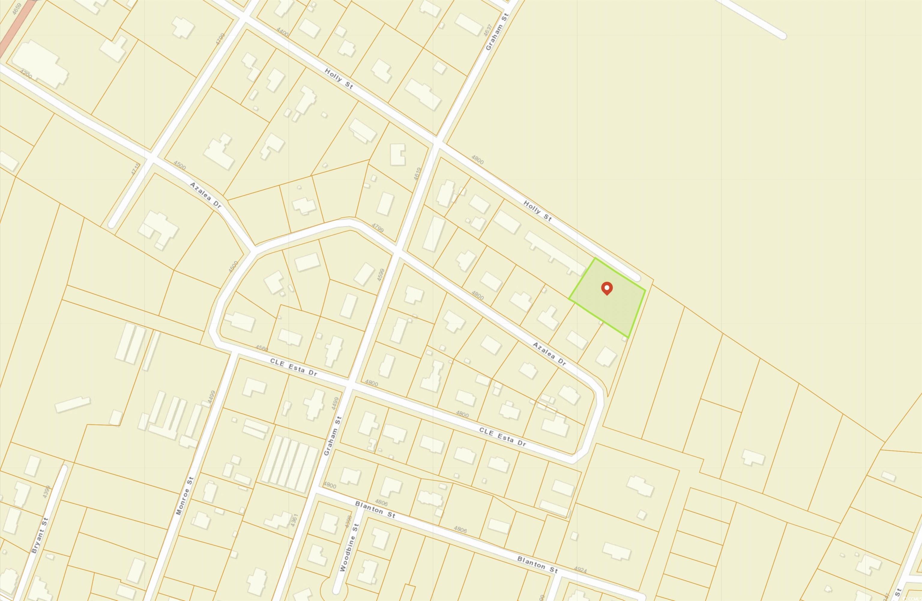 4824 Holly Street Loris, SC 29569 - Photo 3 of 4