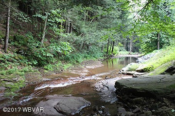 1510 Slacks Run Road Trout Run, PA 17771 - Photo 42 of 42 Slacks Run looking downstream