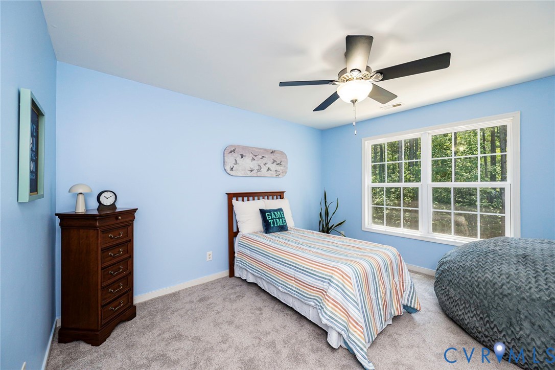 9101 Beaver Bridge Road Moseley, VA 23120 - Photo 55 of 61