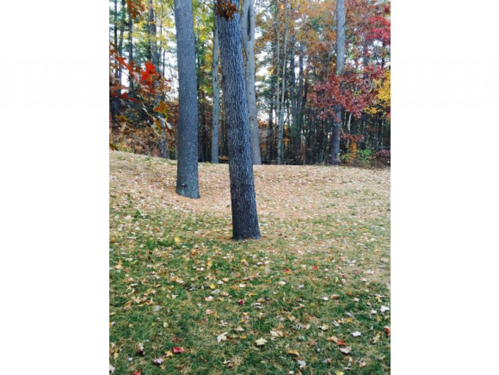 46 Shelburne Road, Unit 46 Merrimack, NH 03054 - Photo 31 of 35