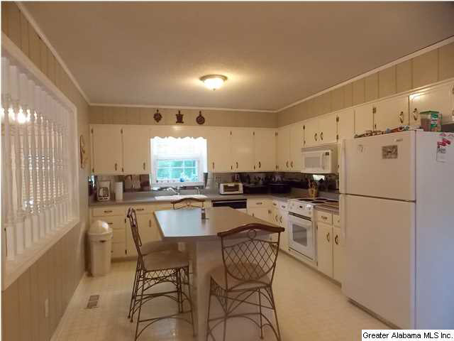 702 Chestnut Street Oneonta, AL 35121 - Photo 2 of 31