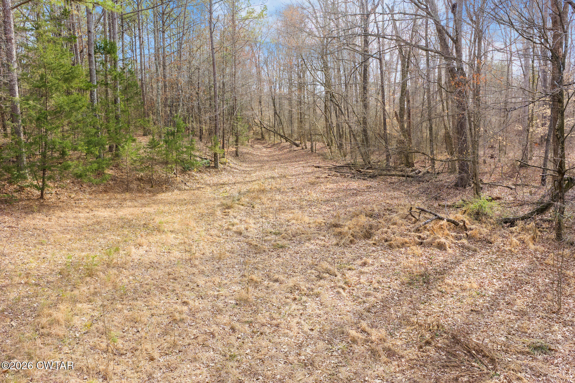 0 Sand Ridge Road Huron, TN 38345 - Photo 11 of 24 DJI_20260304151230_0666_D