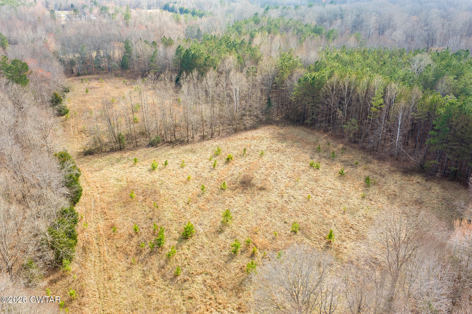 0 Sand Ridge Road Huron, TN 38345 - Photo 14 of 24 DJI_20260304151059_0662_D