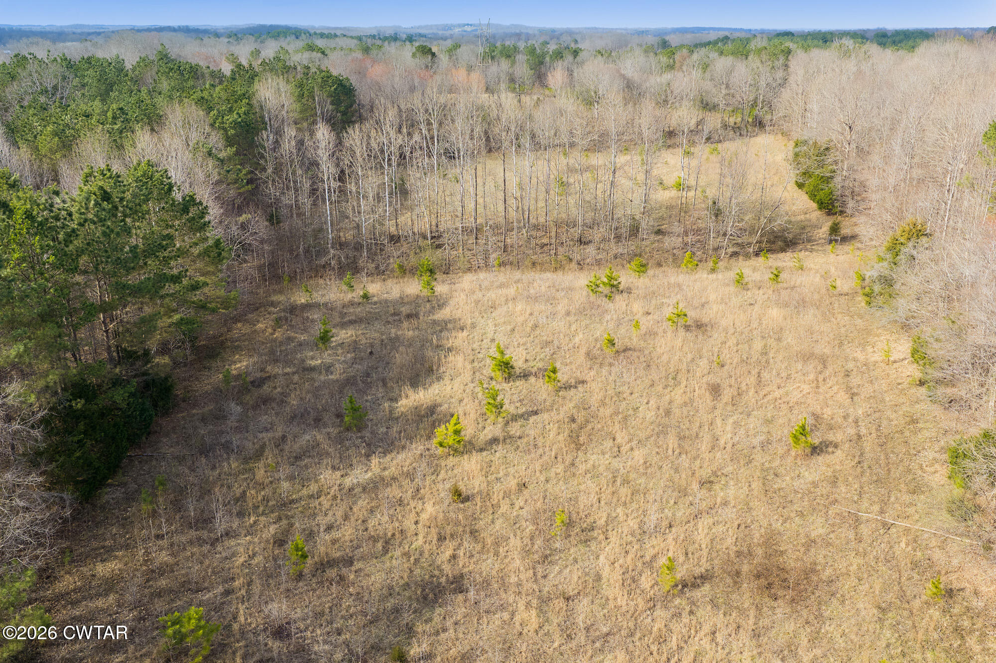 0 Sand Ridge Road Huron, TN 38345 - Photo 15 of 24 DJI_20260304151015_0660_D