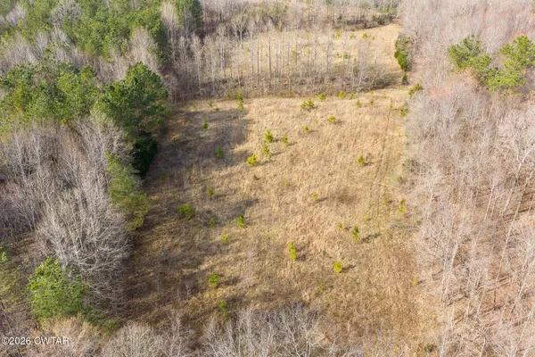 $300,000 | 0 Sand Ridge Road, Huron, TN 38345