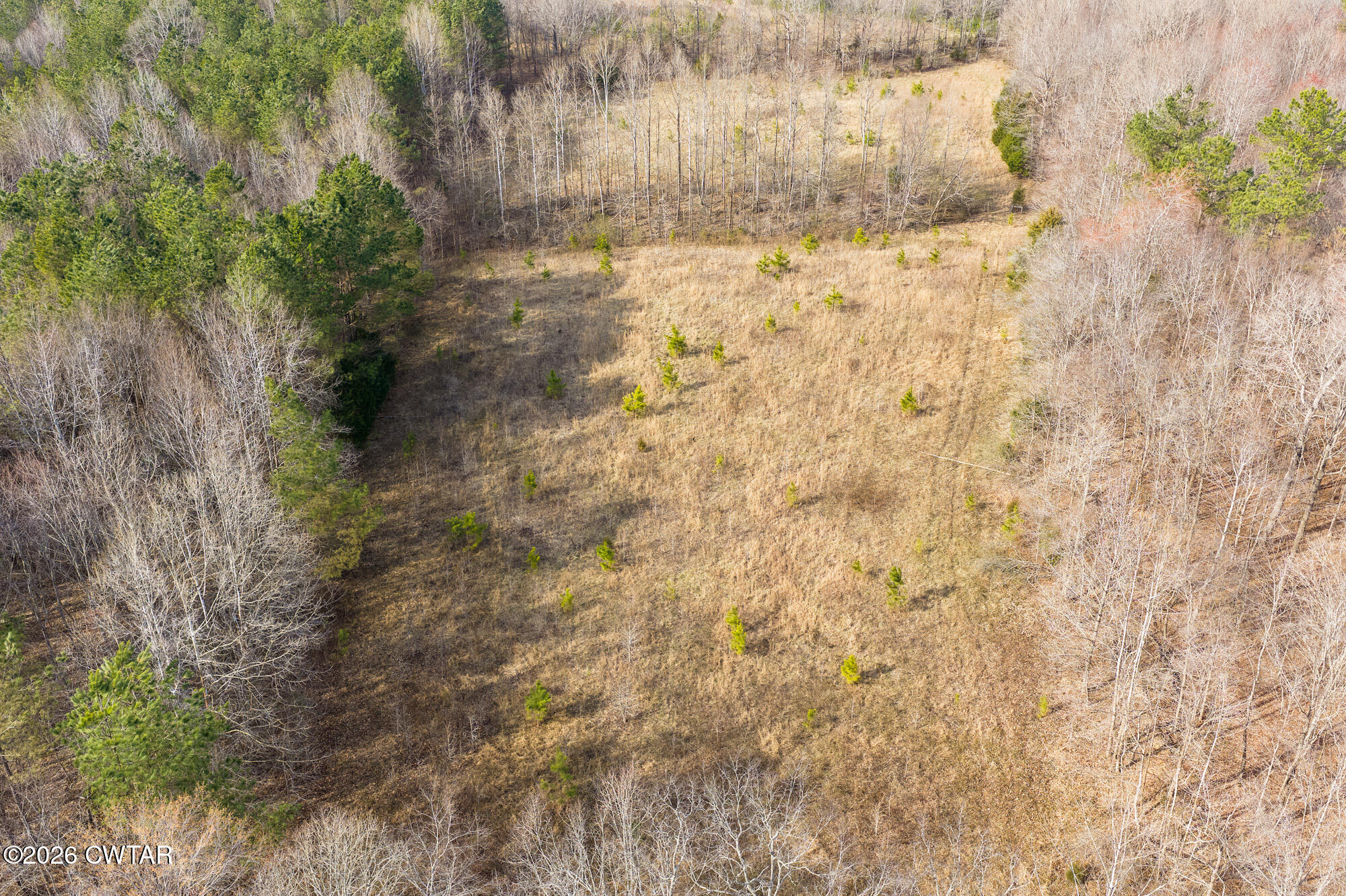 0 Sand Ridge Road Huron, TN 38345 - Photo 16 of 24 DJI_20260304150953_0659_D