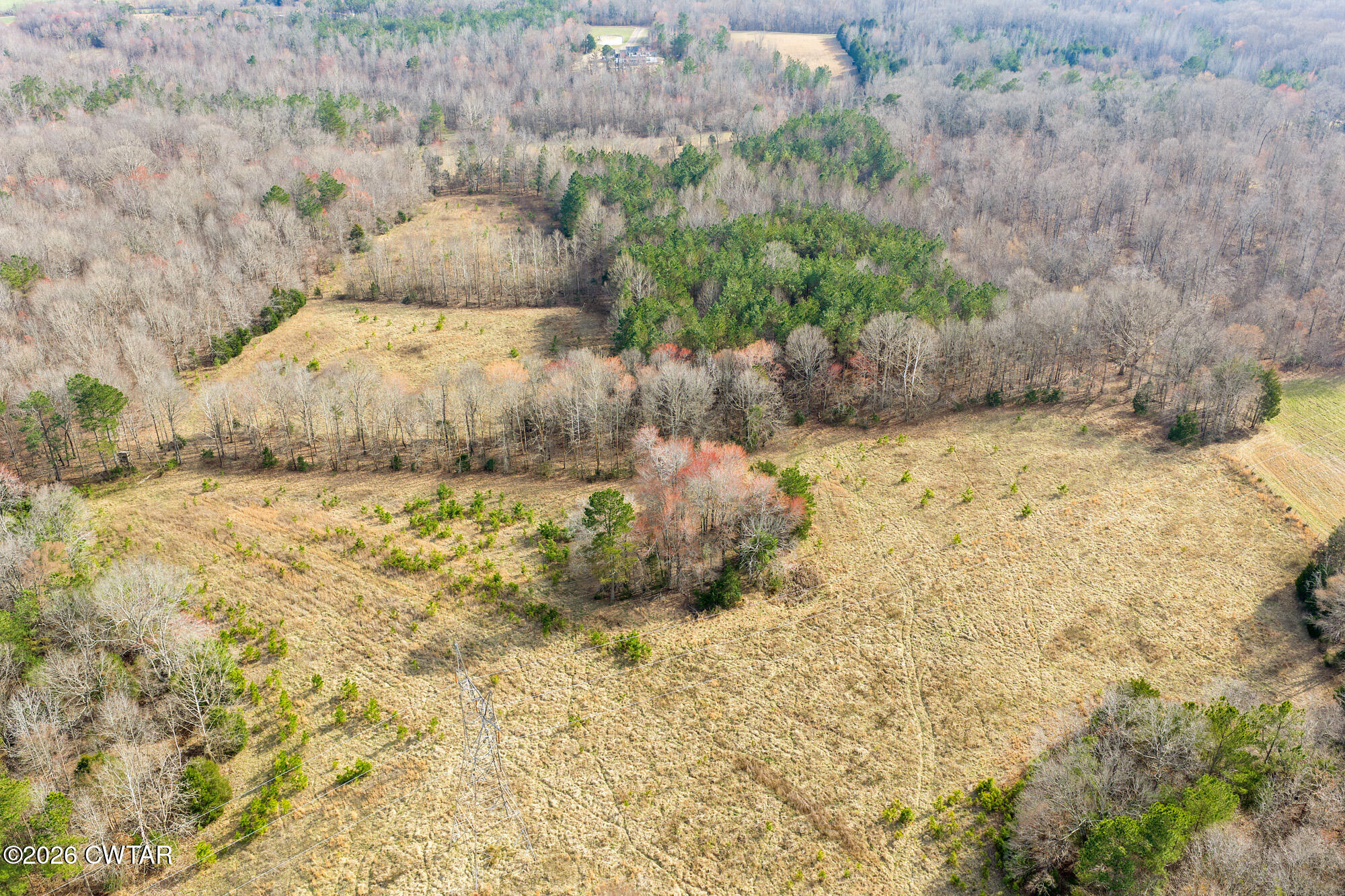 0 Sand Ridge Road Huron, TN 38345 - Photo 19 of 24 DJI_20260304150755_0656_D