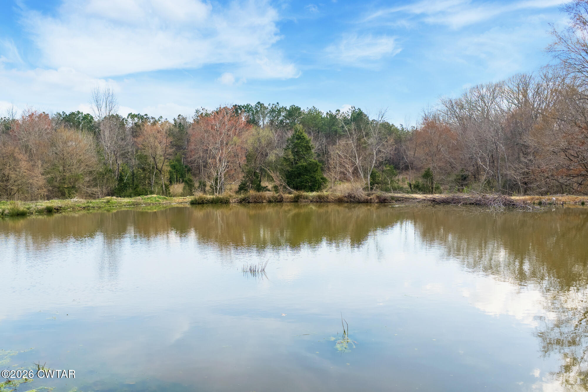 0 Sand Ridge Road Huron, TN 38345 - Photo 2 of 24 DJI_20260304151349_0668_D