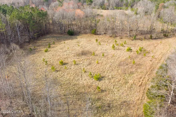 $300,000 | 0 Sand Ridge Road, Huron, TN 38345