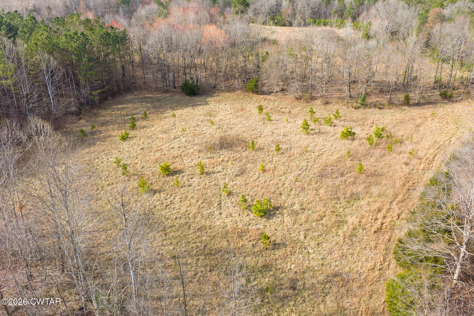 0 Sand Ridge Road Huron, TN 38345 - Photo 7 of 24 DJI_20260304151037_0661_D