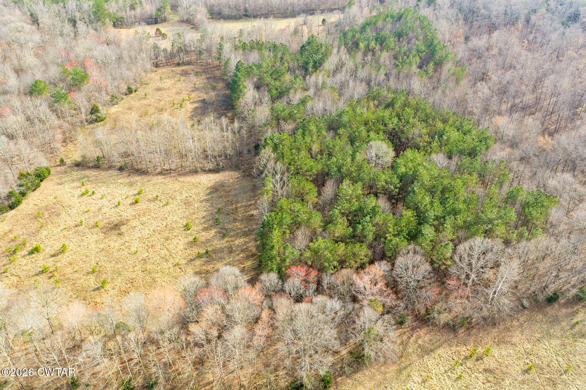 0 Sand Ridge Road Huron, TN 38345 - Photo 8 of 24 DJI_20260304150813_0657_D (2)