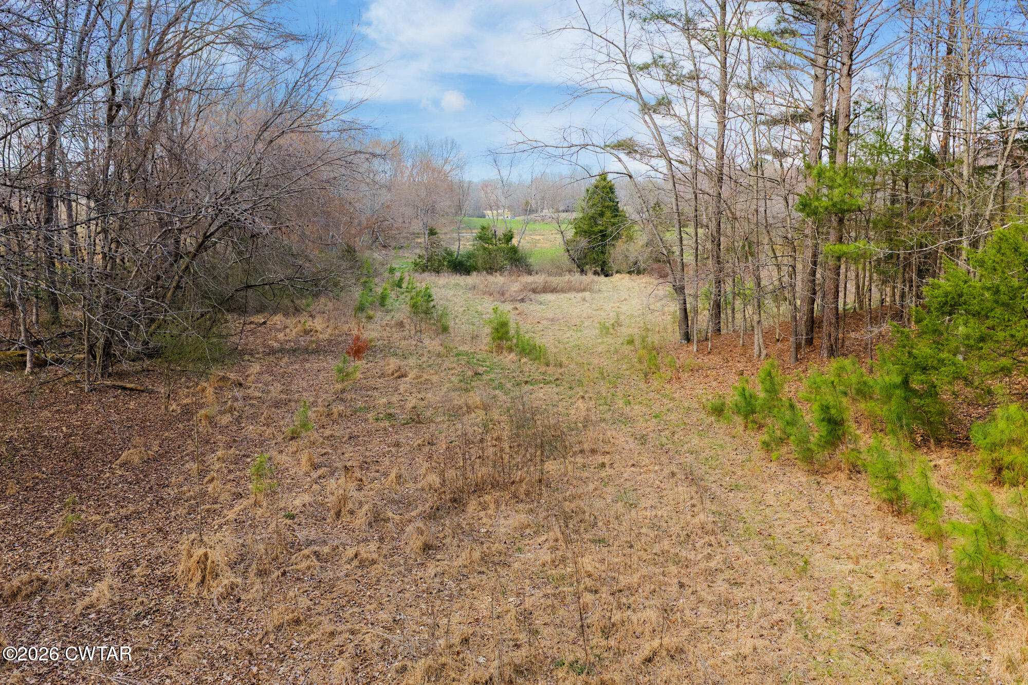 0 Sand Ridge Road Huron, TN 38345 - Photo 9 of 24 DJI_20260304151223_0665_D