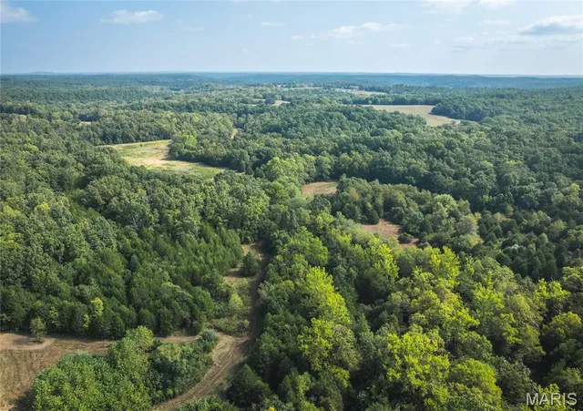 $700,000 | 0 Highway Ff Edgar Springs, Edgar Springs, MO 65462