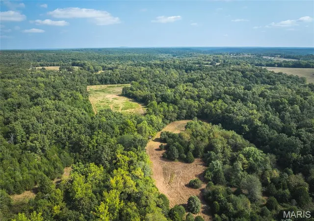 $700,000 | 0 Highway Ff Edgar Springs, Edgar Springs, MO 65462