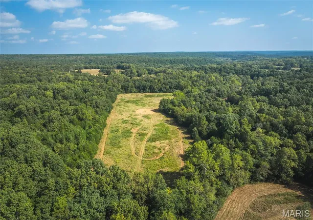 $700,000 | 0 Highway Ff Edgar Springs, Edgar Springs, MO 65462