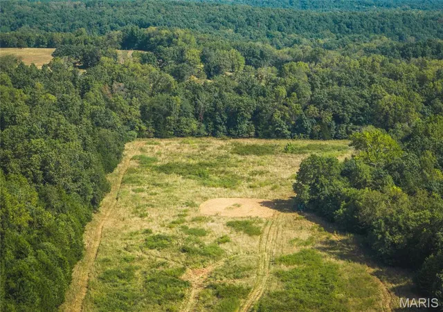 $700,000 | 0 Highway Ff Edgar Springs, Edgar Springs, MO 65462