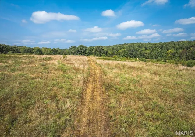 $700,000 | 0 Highway Ff Edgar Springs, Edgar Springs, MO 65462