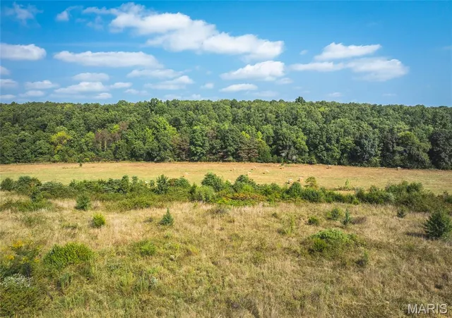 $700,000 | 0 Highway Ff Edgar Springs, Edgar Springs, MO 65462