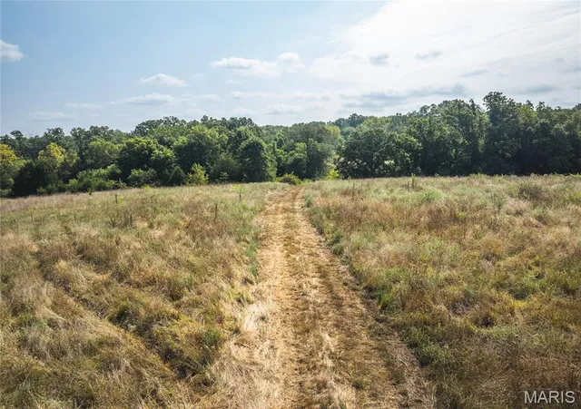 $700,000 | 0 Highway Ff Edgar Springs, Edgar Springs, MO 65462