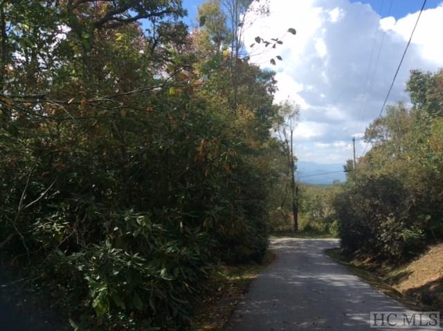 Tbd King Gap Road Highlands, NC 28741 - Photo 7 of 12 Gallery Image 7