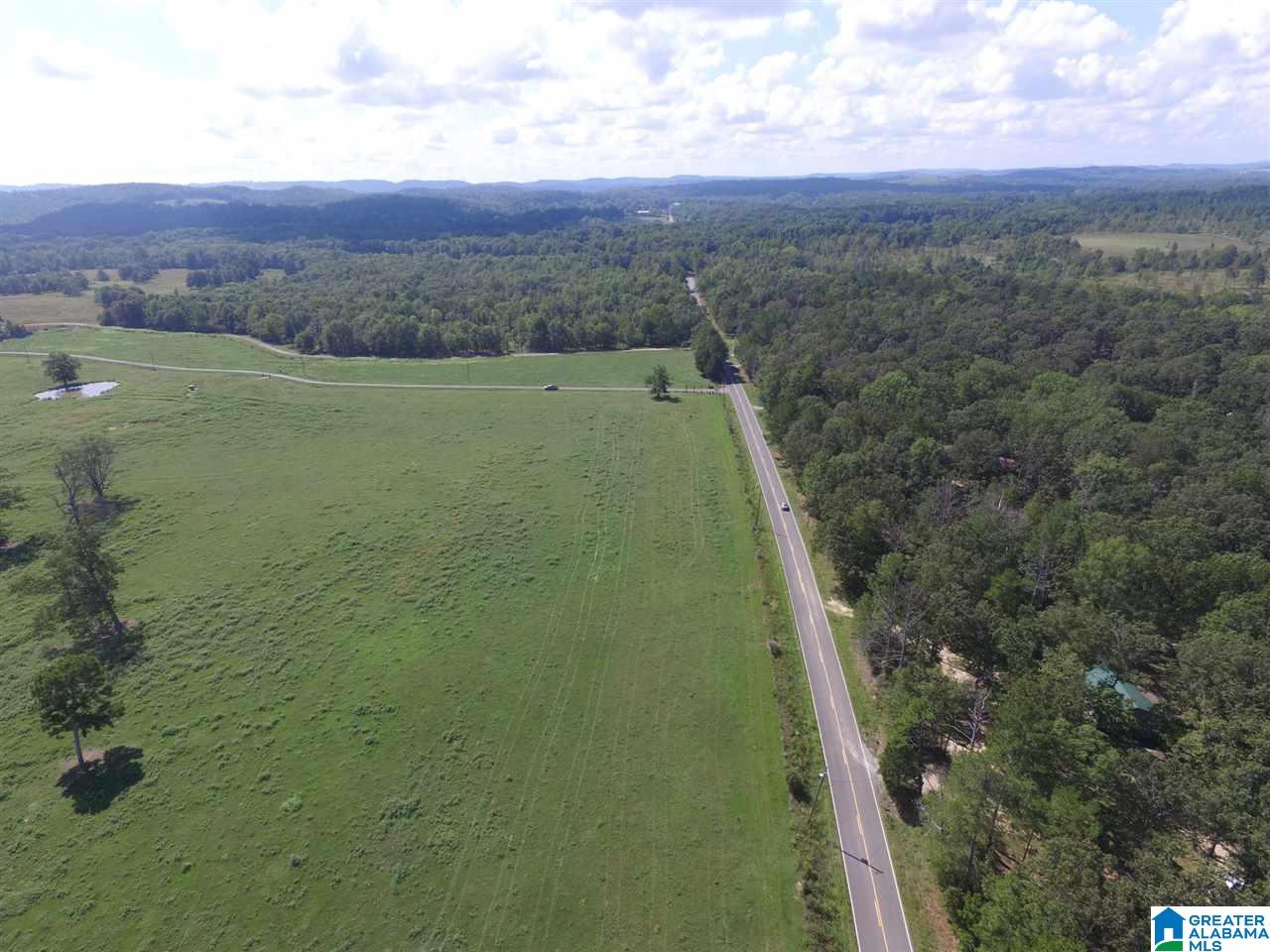 Double Bridge Road, Unit 12 Steele, AL 35987 - Photo 3 of 5