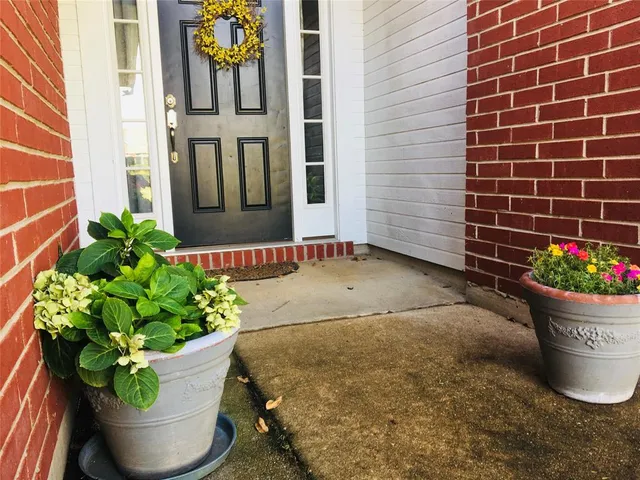 a view of a potted plant in front of a door