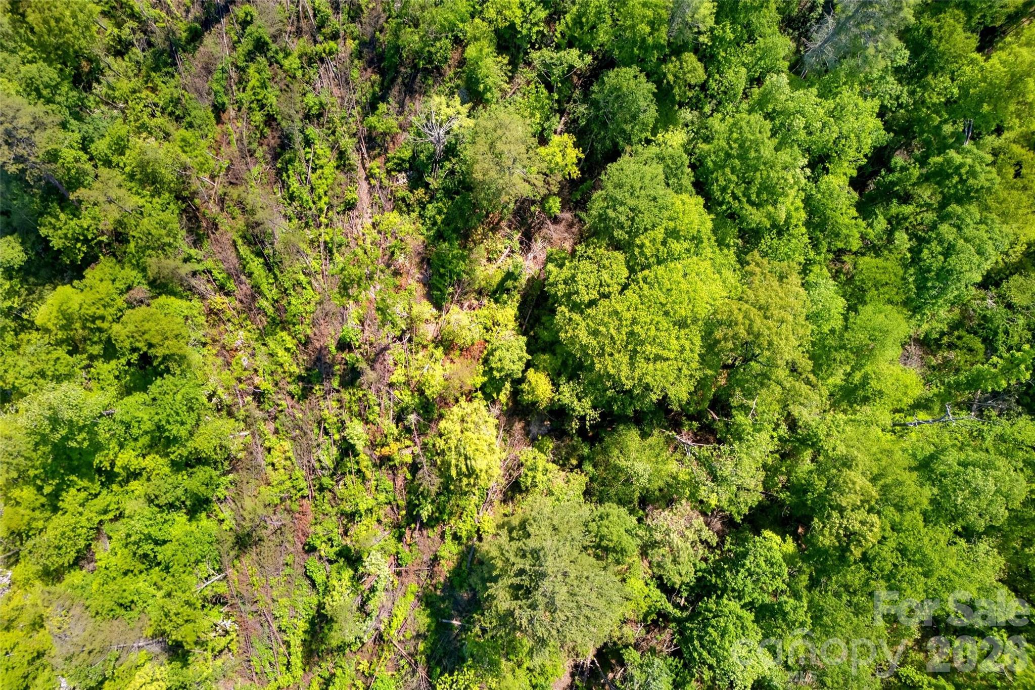 3361 Bethlehem Road Old Fort, NC 28762 - Photo 14 of 47