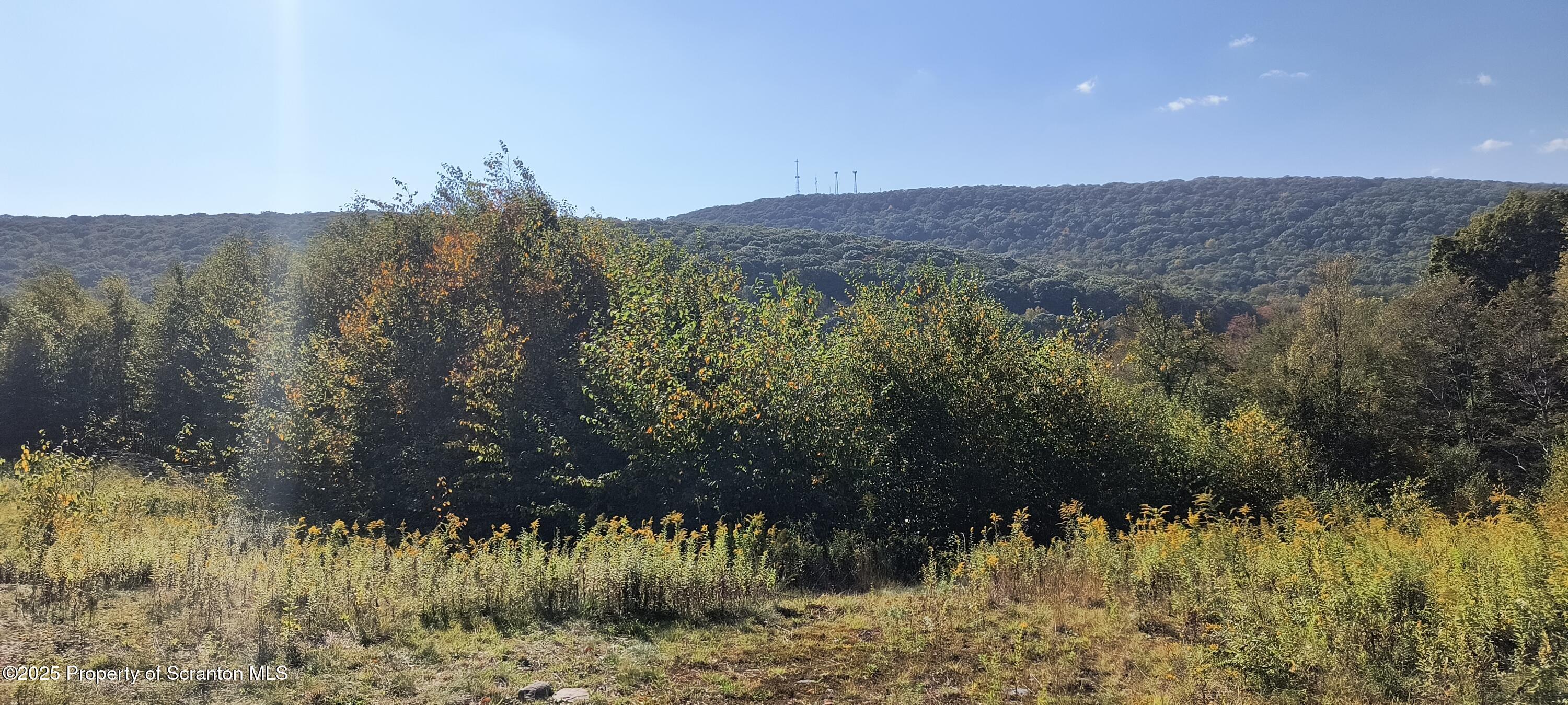 a view of a back yard