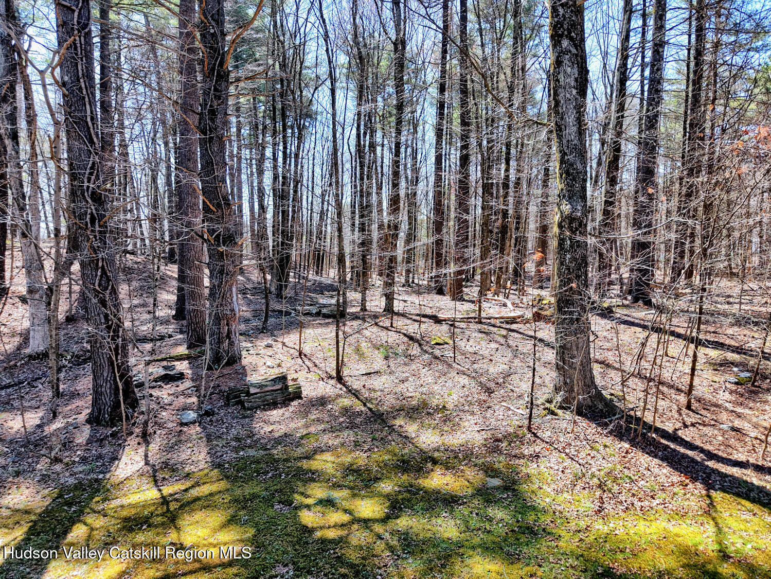 61 Joel M Austin Road Catskill, NY 12413 - Photo 76 of 83 9zzo