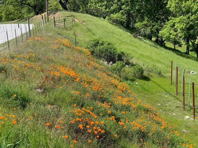 a view of a water pond