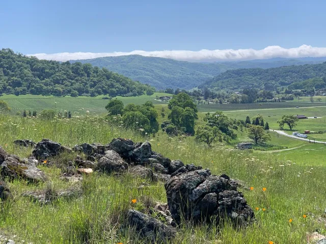 a view of a lush green hillside and houses