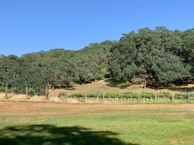 a view of a lake with a mountain
