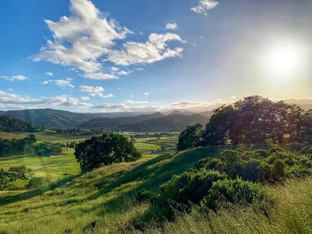 a view of an outdoor space and a yard