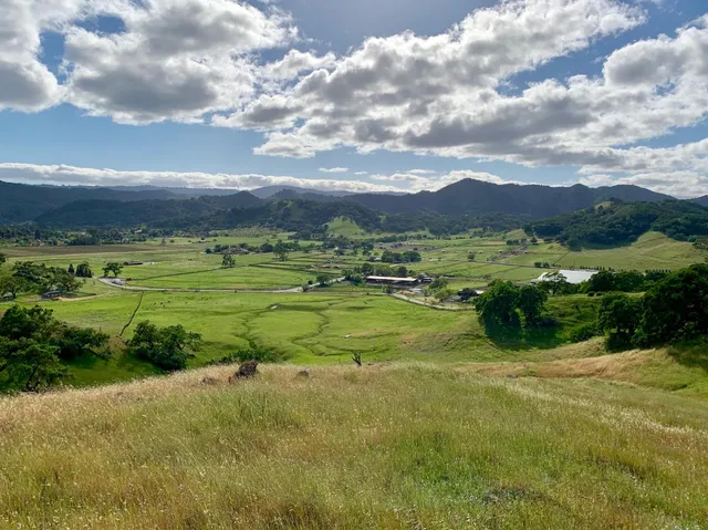 a view of an outdoor space and a yard