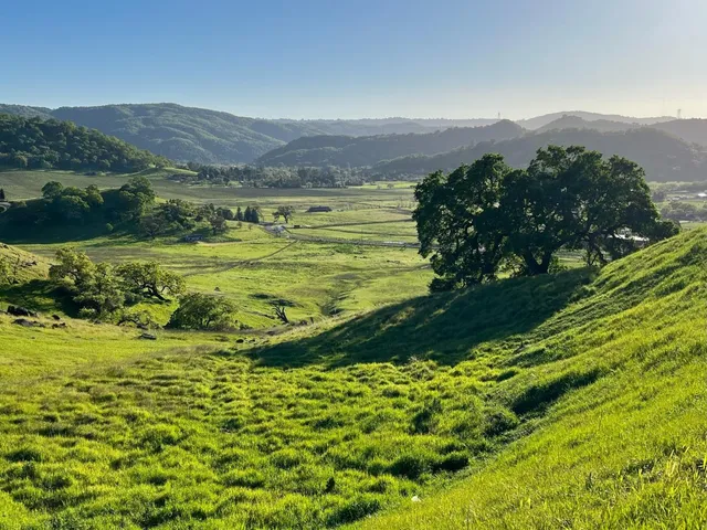 a view of a lake with a mountain in the background