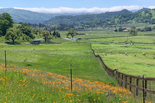a view of an outdoor space and a yard