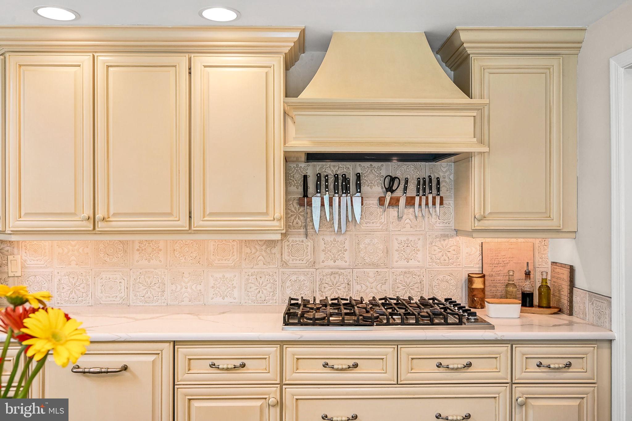 923 Copper Beech Lane Wayne, PA 19087 - Photo 16 of 45 Premium appliances and gas cooking