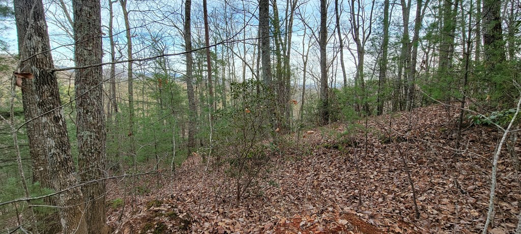 Lot 26 Beech Mountain Road Murphy, NC 28906 - Photo 4 of 8