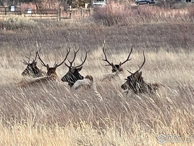 $1,225,000 | 613 Cove Drive, Loveland, CO 80537