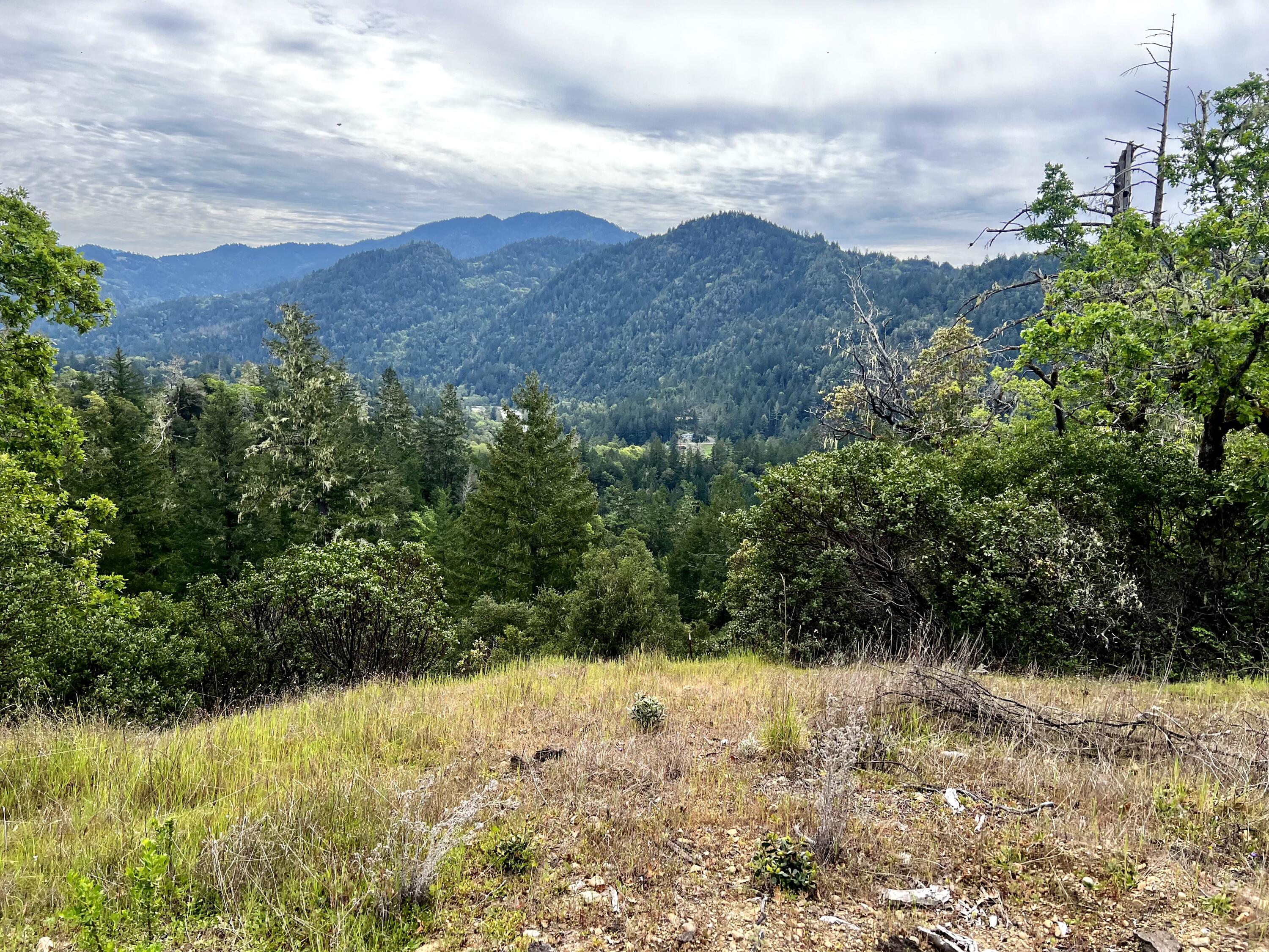 1880 Tunnel Road Redway, CA 95560 - Photo 9 of 13