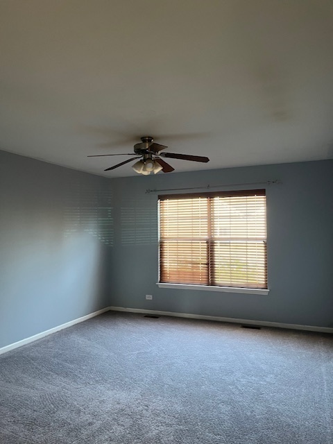 281 Bay Drive Itasca, IL 60143 - Photo 13 of 20