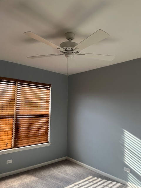 281 Bay Drive Itasca, IL 60143 - Photo 19 of 20