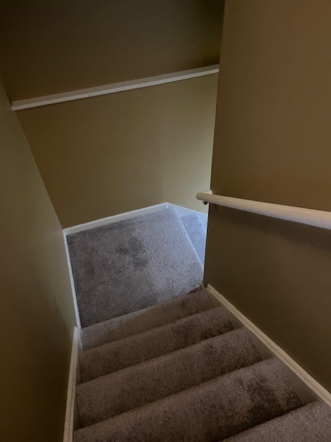 281 Bay Drive Itasca, IL 60143 - Photo 9 of 20