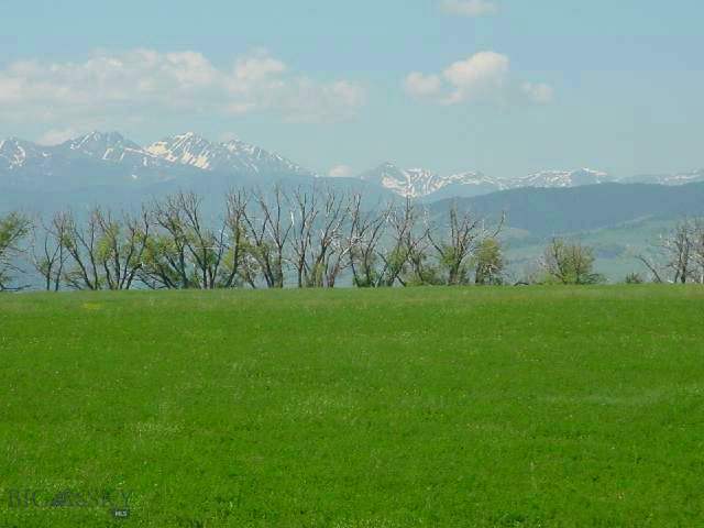 23 Little Valley Road Gallatin Gateway, MT 59730 - Photo 1 of 1 Gallery Image 1