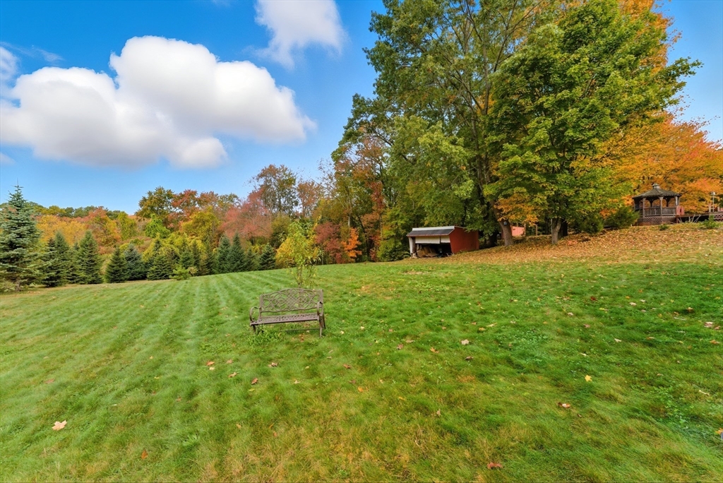 97 Mountain Road Holyoke, MA 01040 - Photo 24 of 27 a view of a field of grass and trees