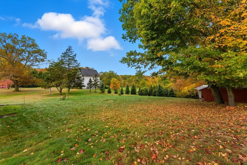 97 Mountain Road Holyoke, MA 01040 - Photo 25 of 27 a view of a field with trees