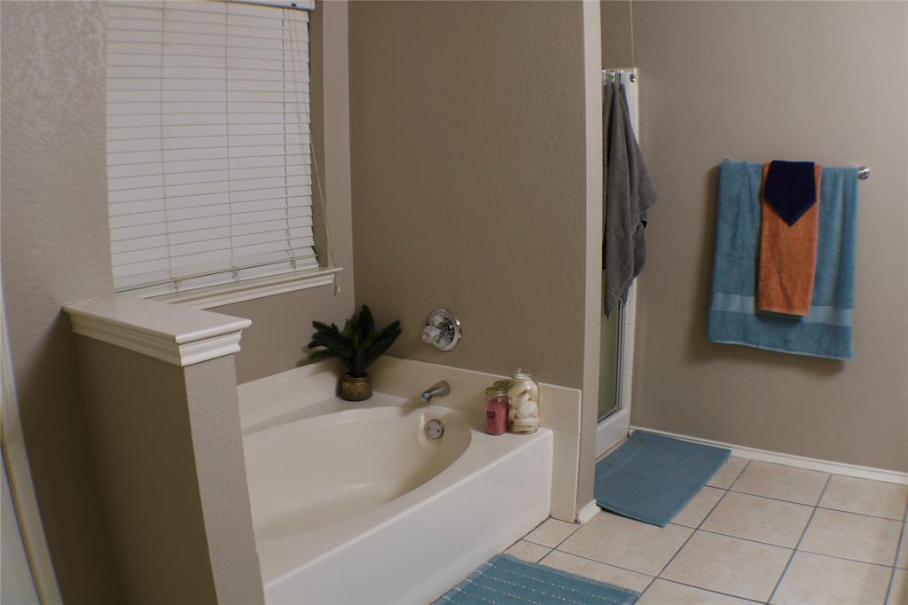 173 West Ranch Lane Weatherford, TX 76088 - Photo 13 of 29 a bathroom with a bathtub and a sink