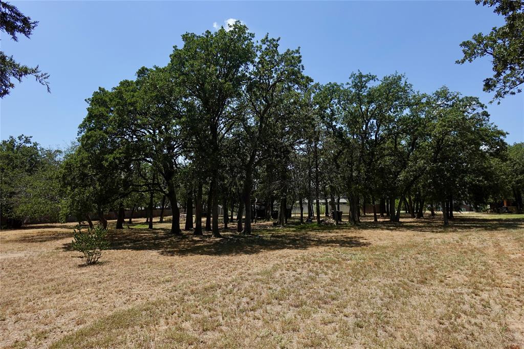 173 West Ranch Lane Weatherford, TX 76088 - Photo 24 of 29 a view of outdoor space with trees