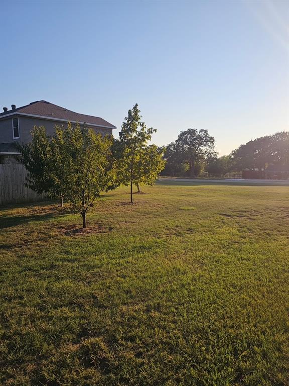 173 West Ranch Lane Weatherford, TX 76088 - Photo 28 of 29 a view of an ocean and a mountain